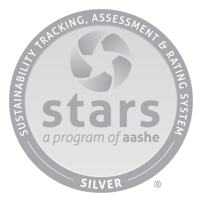 starssilver.png